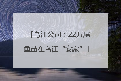 乌江公司：22万尾鱼苗在乌江“安家”